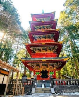 From Tokyo Fully Customised HAKONE Private Day Tour with English Speaking Driver Hotel Pickup