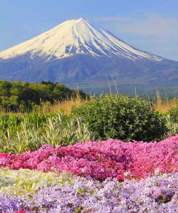 FUJi
