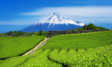 Mount Fuji, Private Customiseable Tour