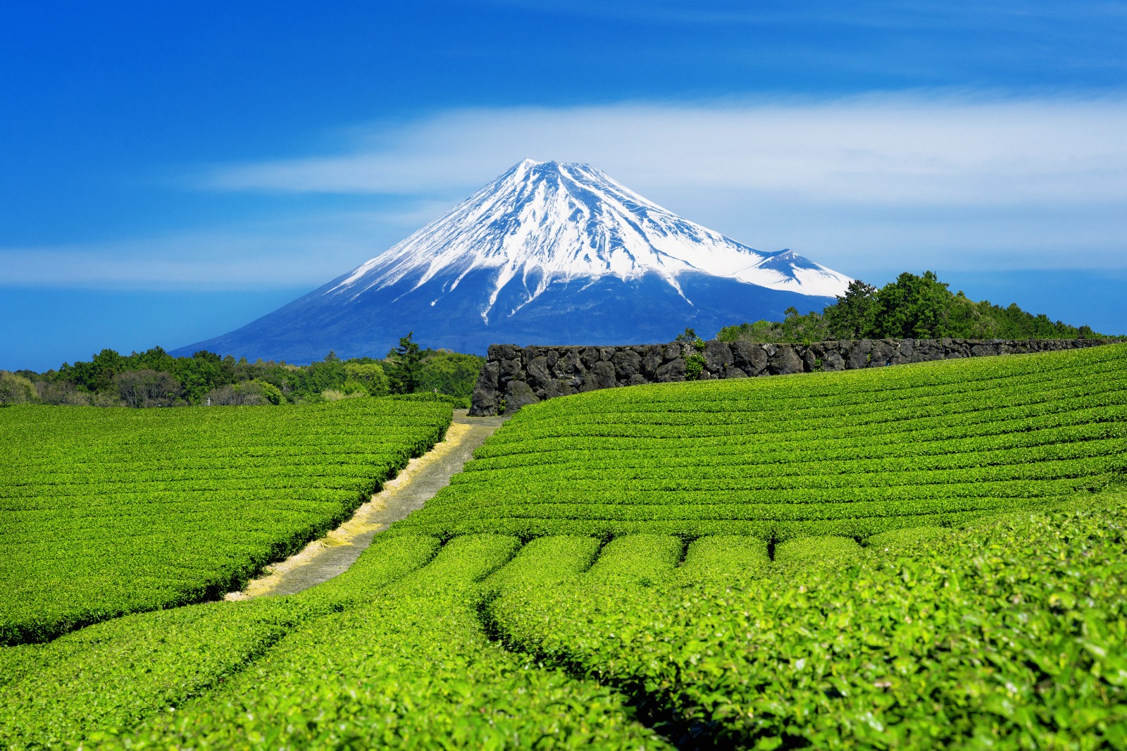 Mount Fuji, Private Customiseable Tour