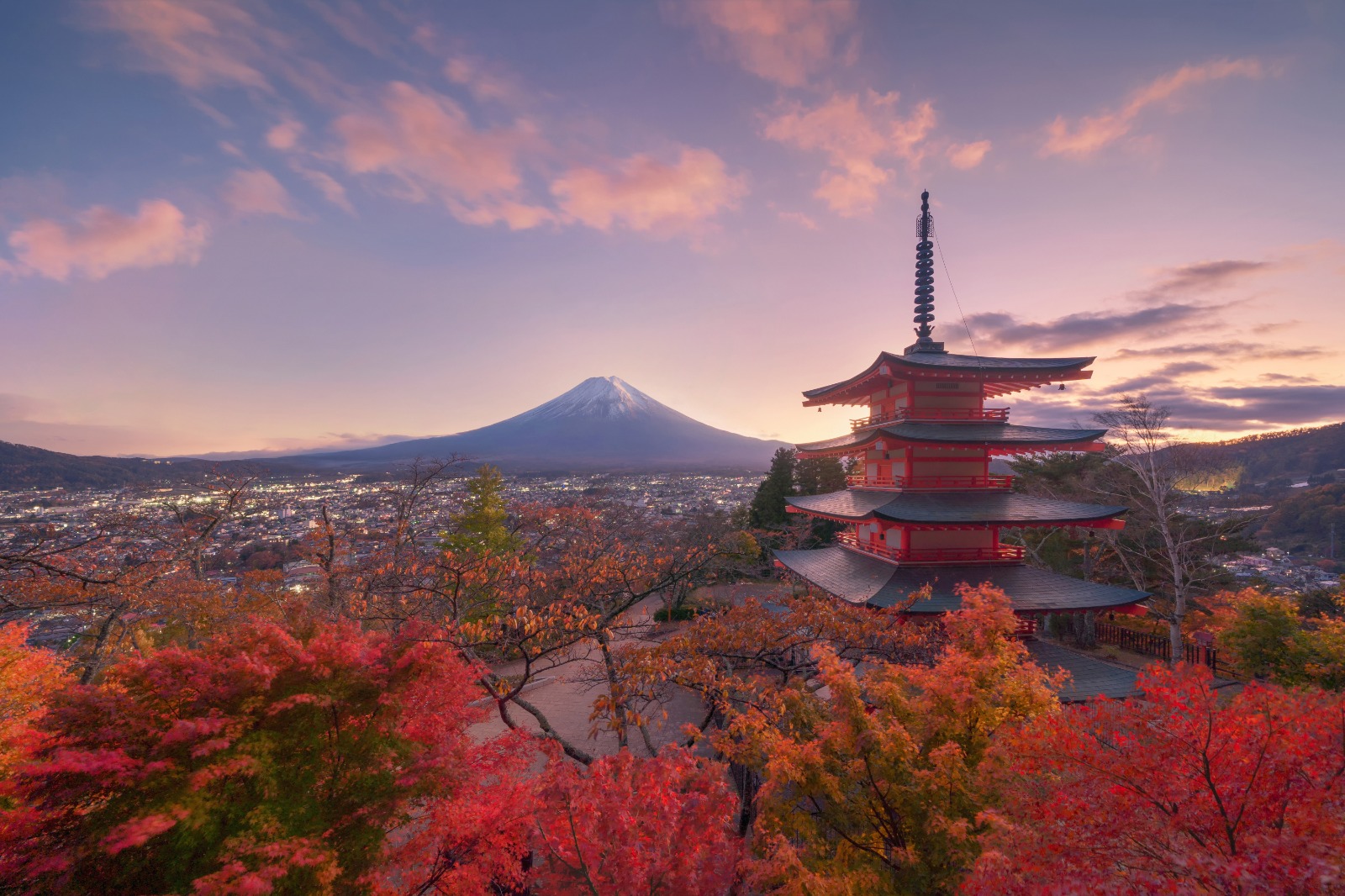 Mount Fuji, Private Customiseable Tour
