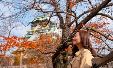 Tokyo private Tour