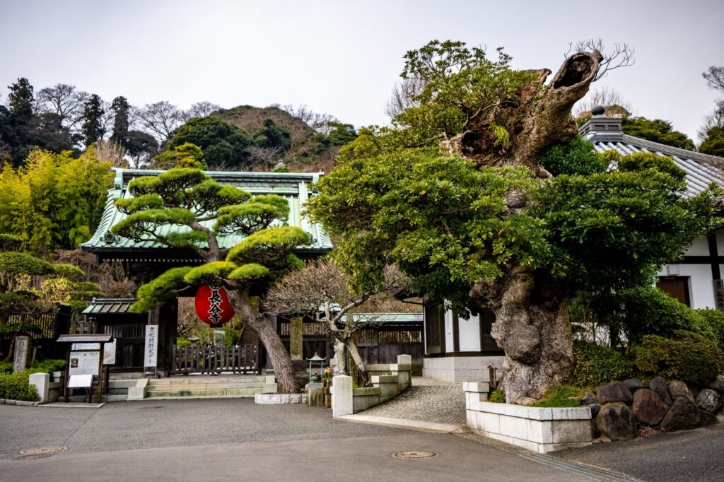 From tokyo Kmakura, Mt. Fuji Japan tour