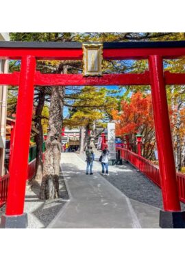 Tokyo, Japn, Mount Fuji, Tour from USA in japan