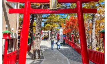 Tokyo, Japn, Mount Fuji, Tour from USA in japan