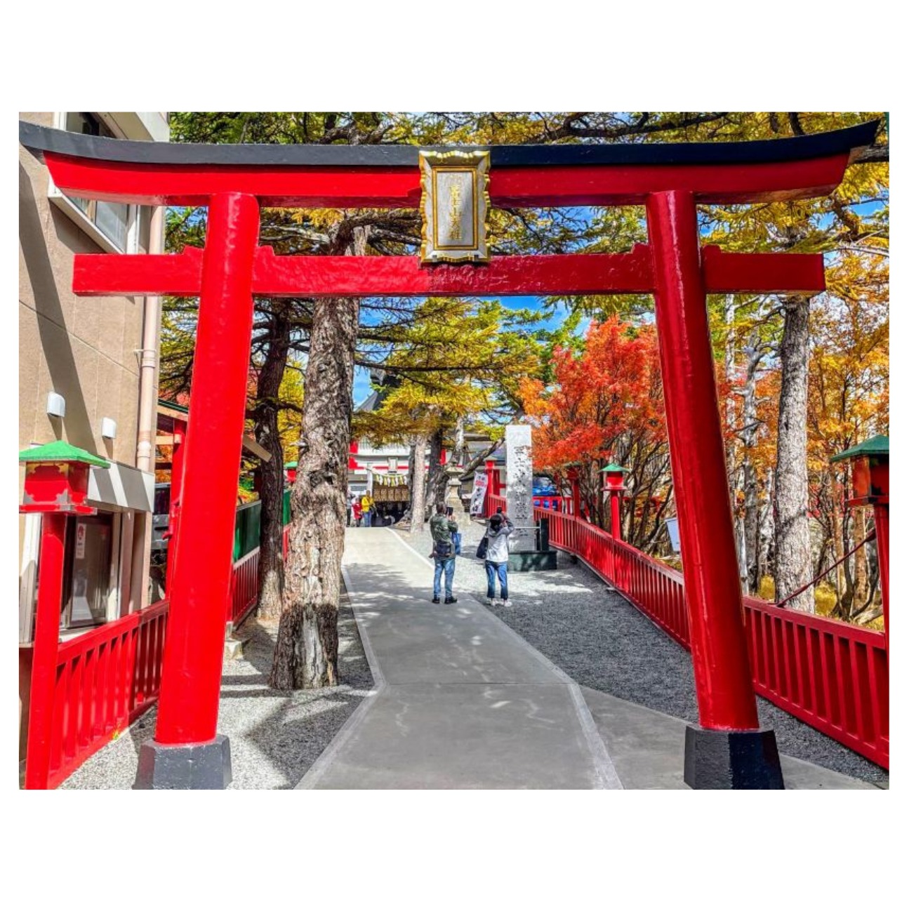 Tokyo, Japn, Mount Fuji, Tour from USA in japan