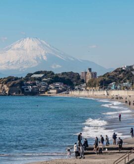 From Tokyo Fully Customised KAMAKURA l Private Day Tour with English Speaking Driver Hotel Pickup